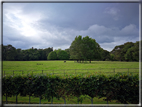 foto Parco di Killarney